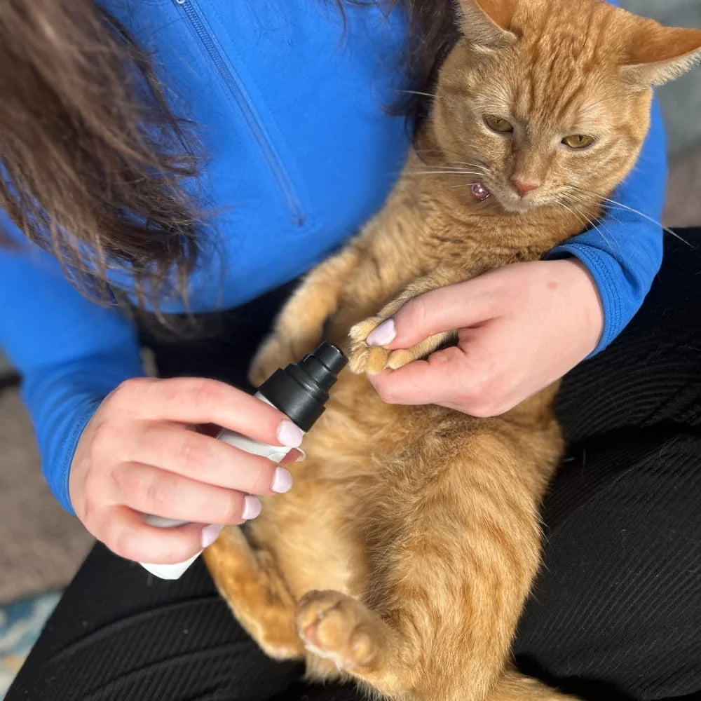 Lima de Uñas Eléctrica para Perros y Gatos — ZenPaw