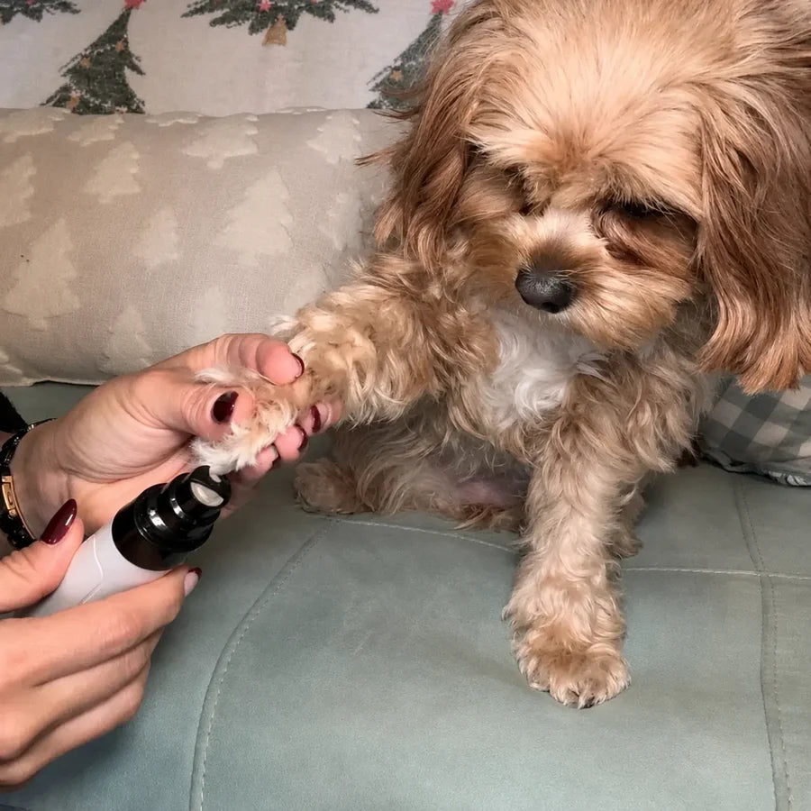 Lima de Uñas Eléctrica para Perros y Gatos — ZenPaw