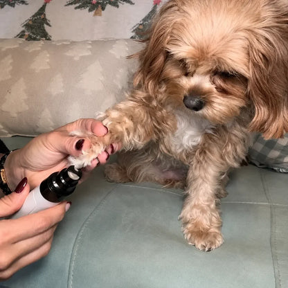 Lima de Uñas Eléctrica para Perros y Gatos — ZenPaw