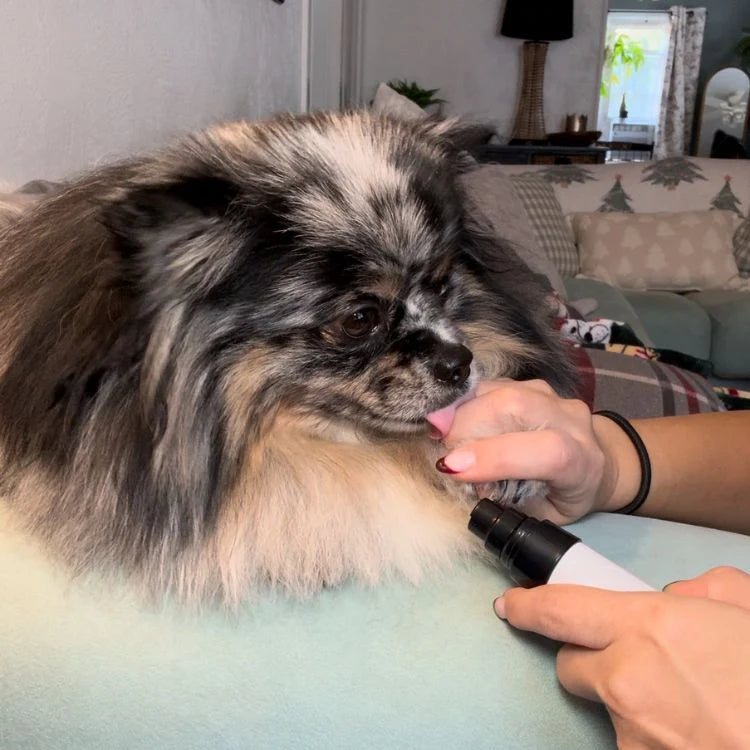 Lima de Uñas Eléctrica para Perros y Gatos — ZenPaw